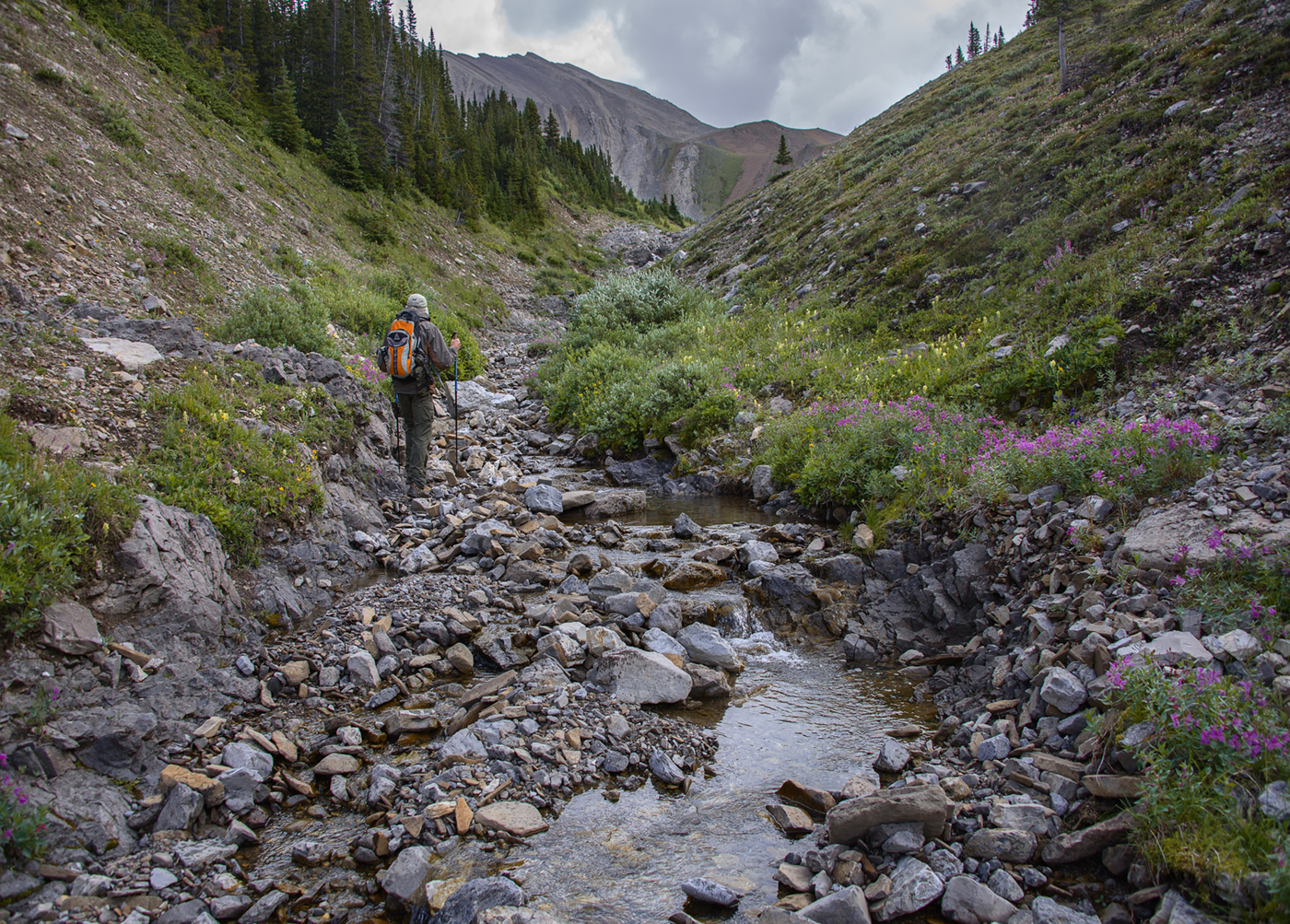 Willmore Wilderness Park, Rocky Mountains, Alberta, Canada